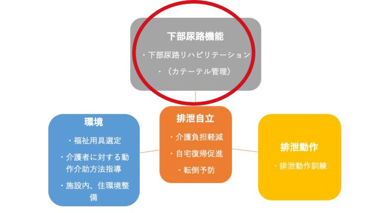 排泄について考える ②